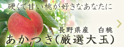 硬くて甘い桃が好きなあなたに　長野県産白桃　あかつき