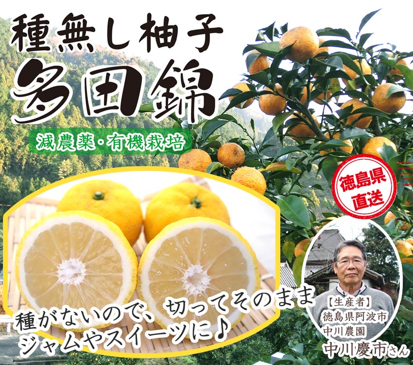 徳島直送】種がない希少な柚子「多田錦」 | こだわり農家直送便